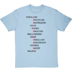 It's Coming Home (Players) T-Shirt -Tshirt Store its coming home players tshirt 1 skybluetshirt