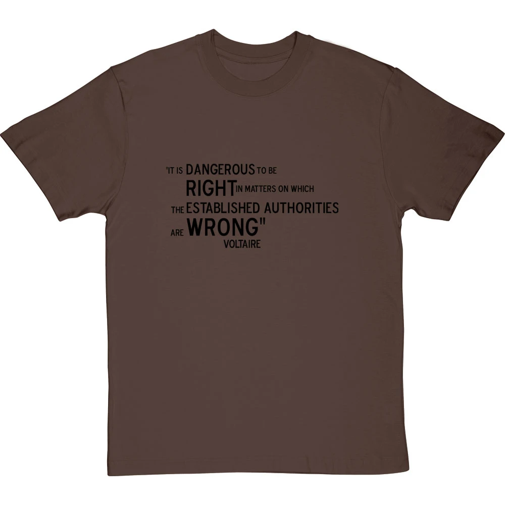 Voltaire "Right And Wrong" Quote T-Shirt 18 Voltaire "Right And Wrong" Quote T-Shirt - Image 18